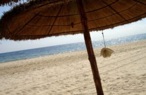 MEPs back US trade pact, but add safeguards as pressure builds for quick deal