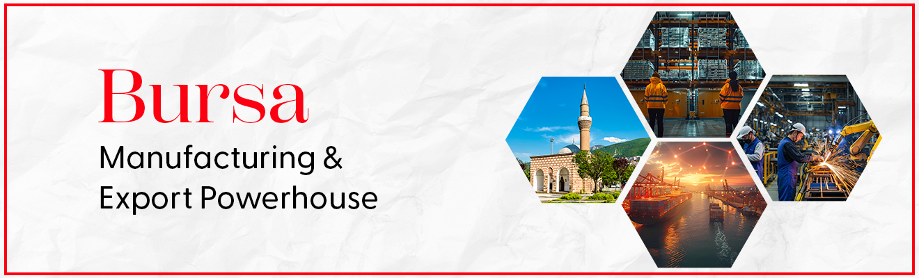 Busra: Manufacturing Innovation and Export Potential